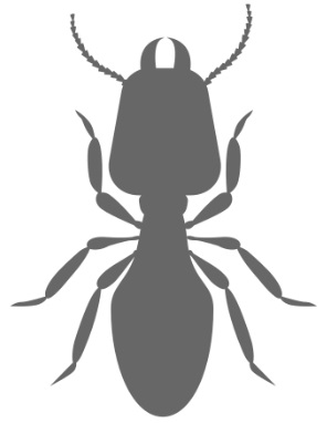 Termite Icon
